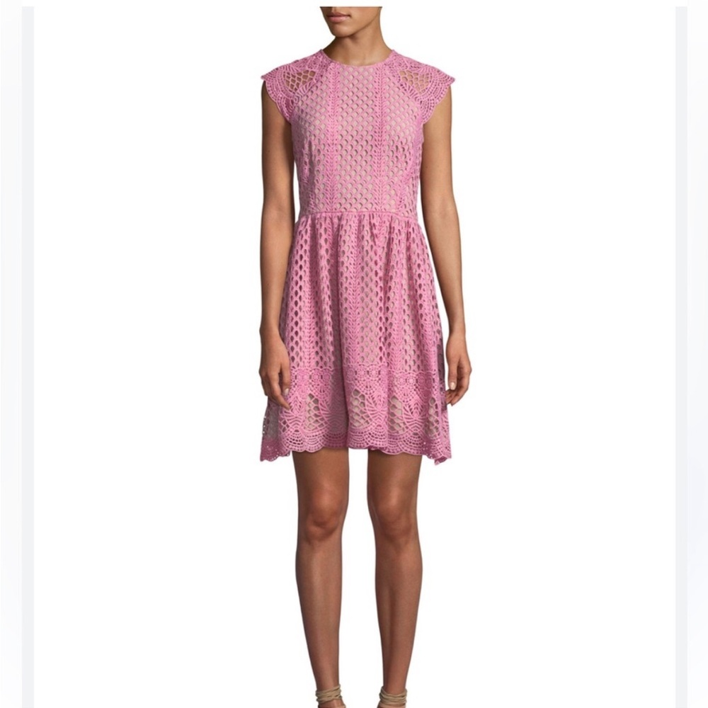 Shoshanna Mori Pink and Nude Lace A-Line Mini Dress